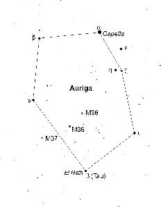 Auriga