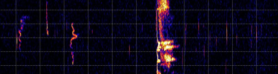 Radio echoes from Leonid meteors Radio echoes from Leonid meteors
