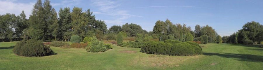 Arboretum