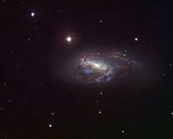 M66 M66