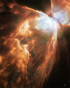 Bug Nebula Bug Nebula