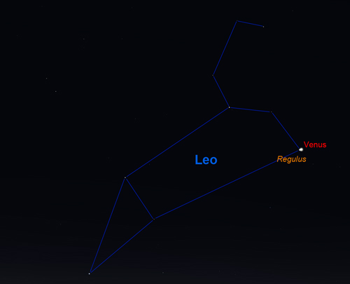 Venus in Leo