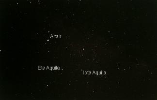 Aquila