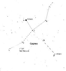 Cygnus