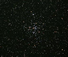 M41