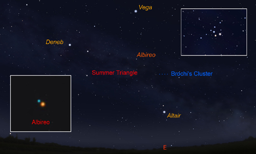 Brochis's Cluster