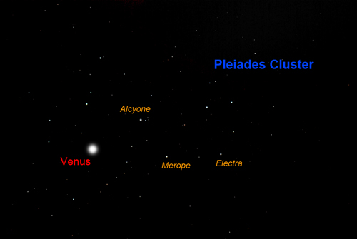 Venus