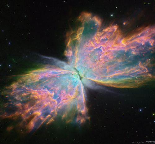 Butterfly Butterfly Nebula