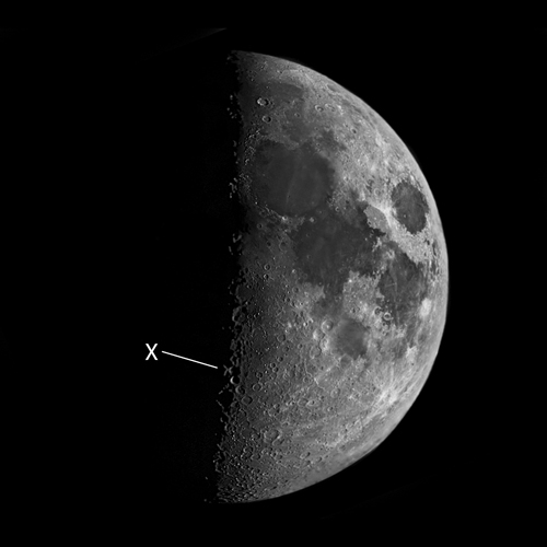 X-Moon = X-Moon