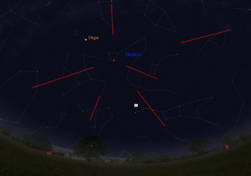 Draconids