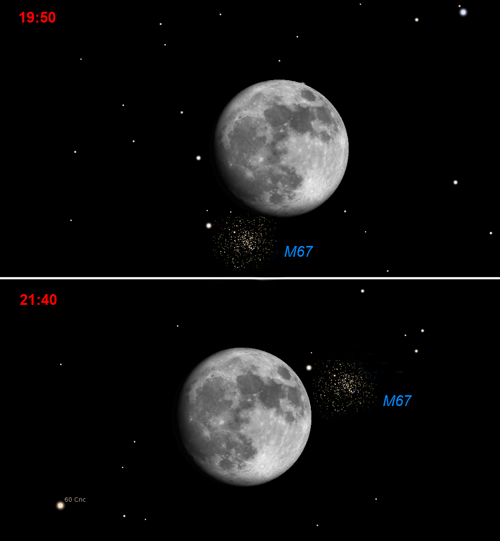 Moon