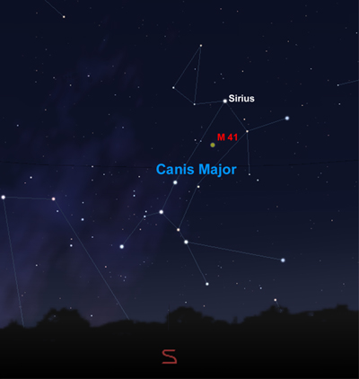 Canis Major