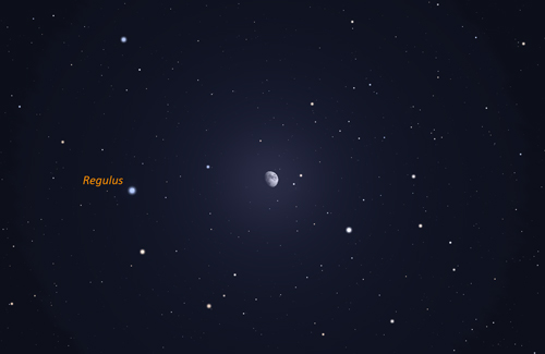 Moon