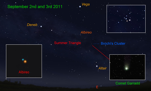 Brochis's Cluster