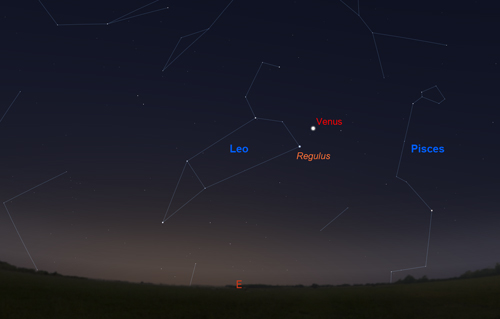 Venus in Leo