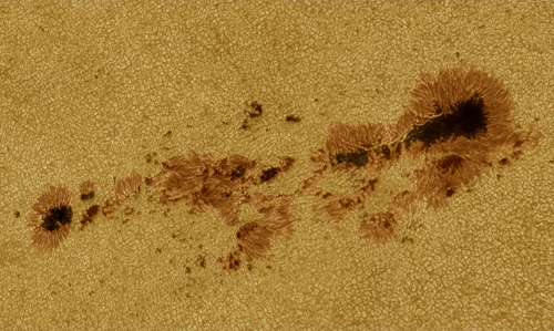 Sunspot group= Sunspot group