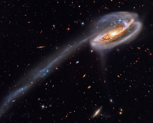 The Tadpole Galaxy