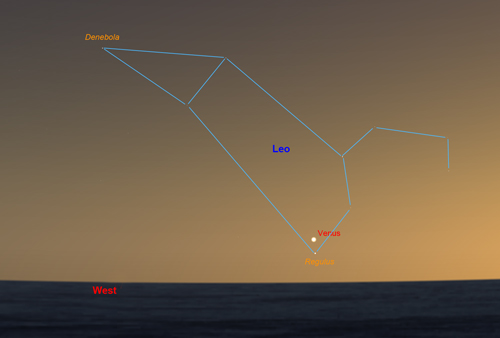 Venus and regulus