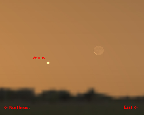 Venus