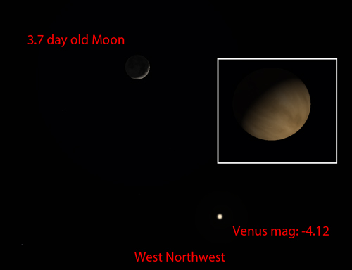 Venus