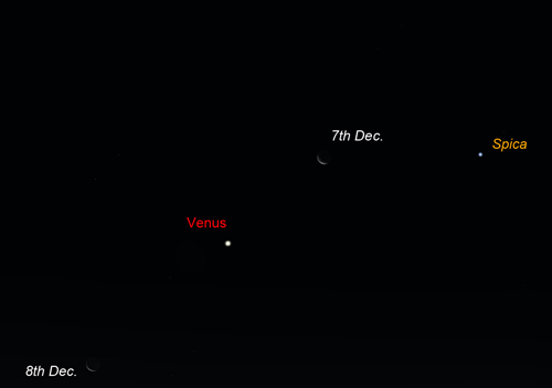 Venus