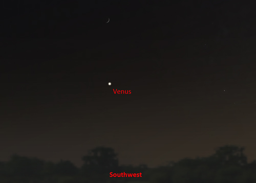 Venus