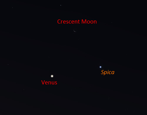 Venus