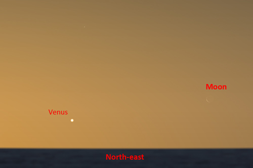 Venus