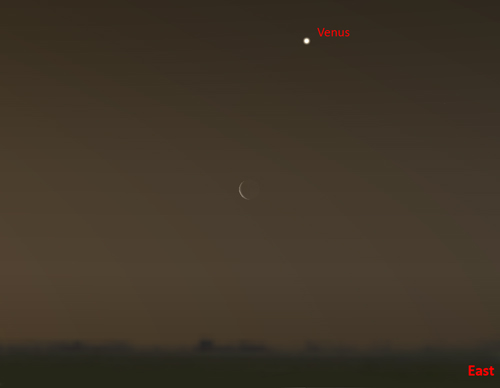 Venus
