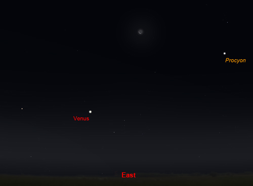 Venus