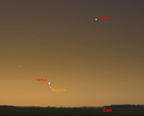 Venus