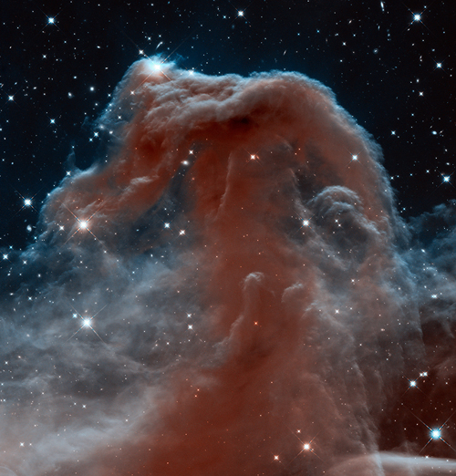 Horsehead nebula - HST Horsehead Nebula