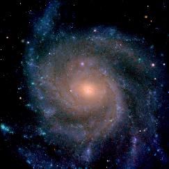 M101