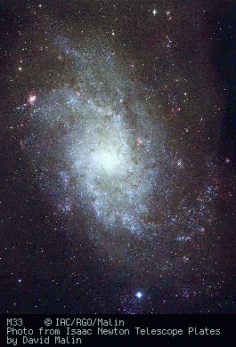 M33