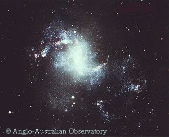 NGC1313