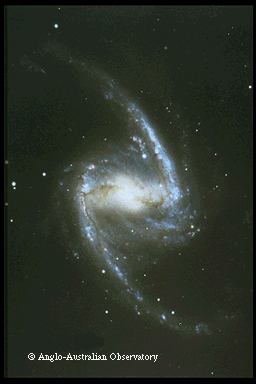 NGC1365