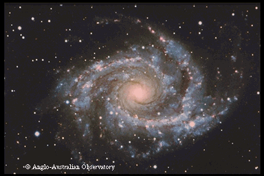 NGC2997