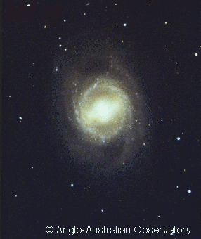 NGC3351