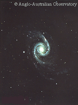 NGC1566