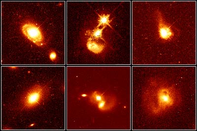 quasar hosts