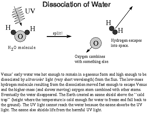 UV breaks apart water molecules into 
oxygen and hydrogen