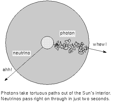 neutrinos zip on through the solar interior