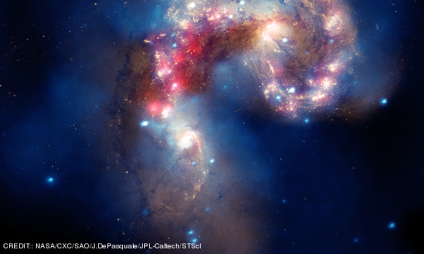 A multiwavelength image of the Antennae galaxies using data from the Chandra X-ray Observatory (blue), the Hubble Space Telescope (gold and brown), and the Spitzer Space Telescope (red). CREDIT: NASA/CXC/SAO/J.DePasquale/JPL-Caltech/STScI November 2011 Extra
