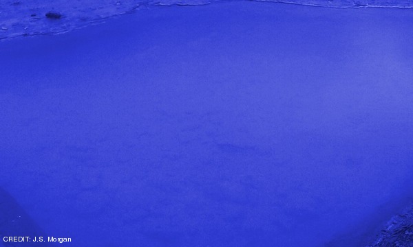 Colourised image of a super-heated blueberry pool. CREDIT: J.S. Morgan August 2018