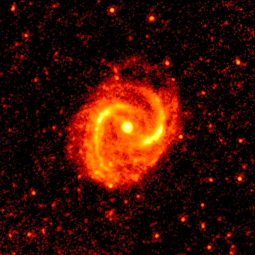 The mid-infrared (24 micron) image of M91 as seen with the Spitzer Space Telescope