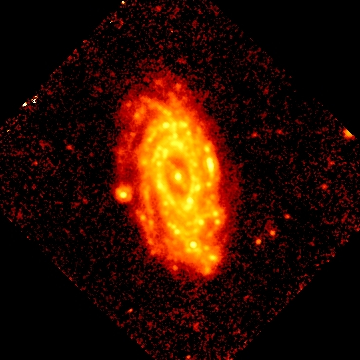 The mid-infrared (24 micron) image of NGC 3953 as seen with the Spitzer Space Telescope