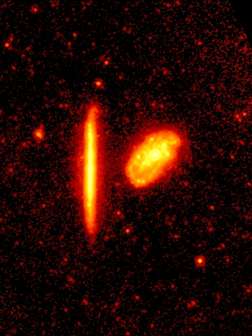 The mid-infrared (24 micron) image of NGC 4298 and NGC 4302 as seen with the Spitzer Space Telescope