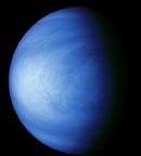Venus Venus