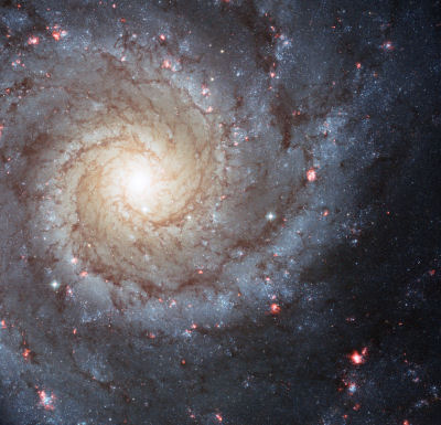 Type Sc Spiral