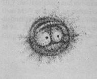 Owl Nebula